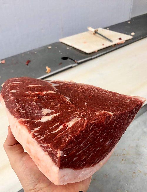 Nobara a Solução em Proteina Animal