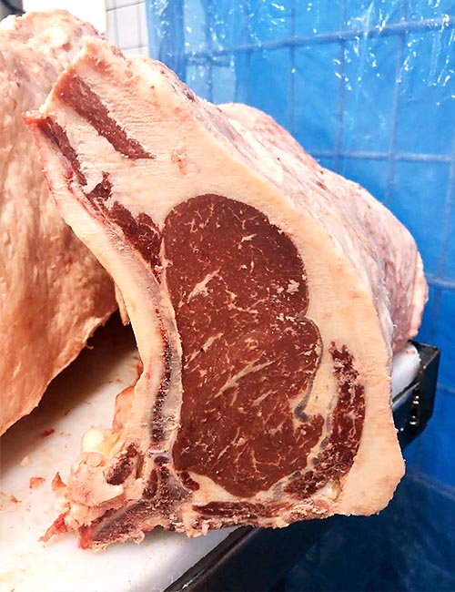 Nobara a Solução em Proteina Animal